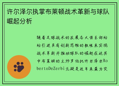 许尔泽尔执掌布莱顿战术革新与球队崛起分析